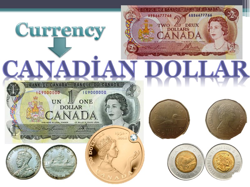 Currency Canadian dollar